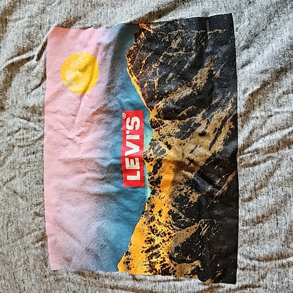 Levis XL cropped t shirt with mountain graphic - Picture 2 of 4